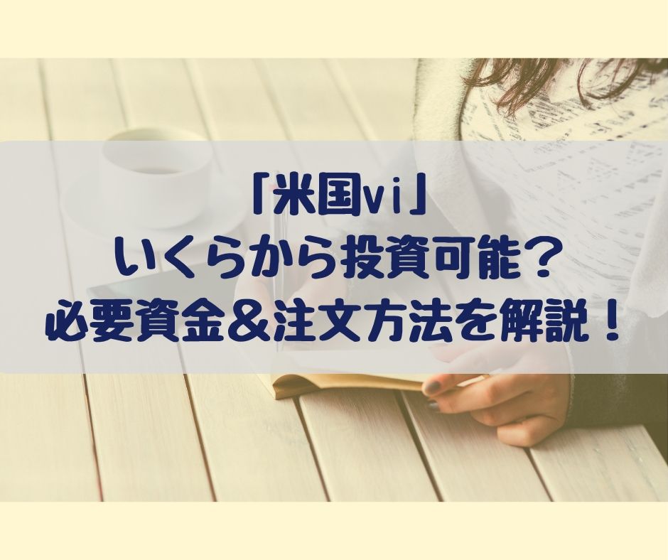 米国vi