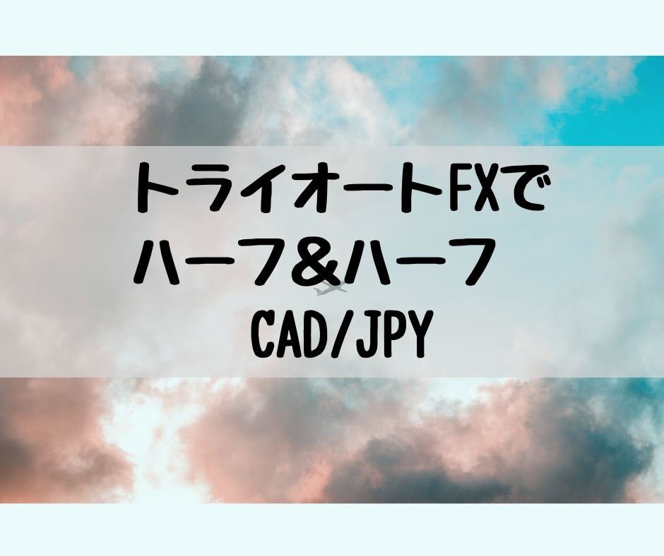 トライオートFX
